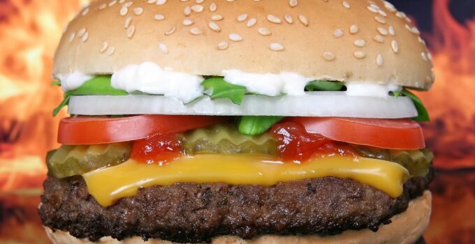 Les Hamburgers du Monde : Plongée dans les Saveurs Internationales