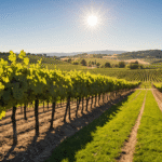 découvrez comment le crowdfunding permet de financer un domaine viticole différemment. explorez des solutions innovantes pour soutenir des projets dans l'univers du vin et contribuer à la réussite de vignerons passionnés.